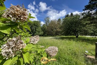  maison bruebach 68440