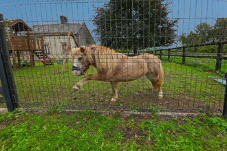  maison brullemail 61390