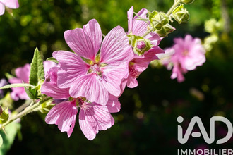  maison bures-sur-yvette 91440