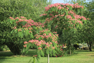  maison cabariot 17430