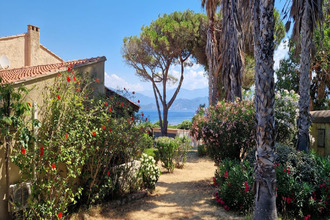  maison calcatoggio 20111