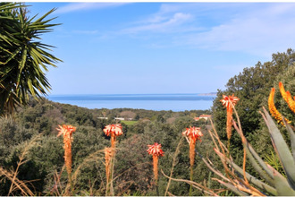  maison calcatoggio 20111