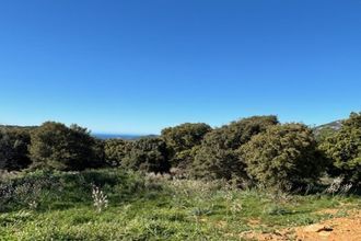  maison calenzana 20214