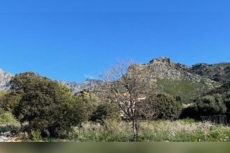  maison calenzana 20214