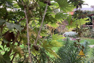  maison cambrai 59400