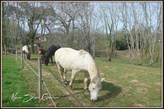  maison capbreton 40130