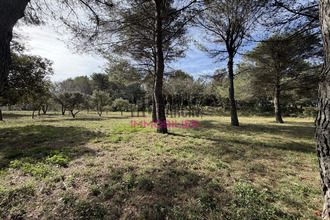  maison carpentras 84200