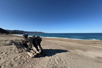  maison casaglione 20111