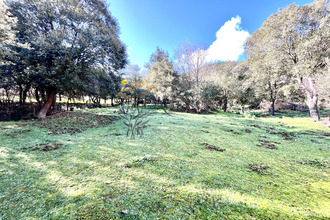  maison castifao 20218