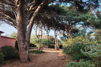  maison cavalaire-sur-mer 83240