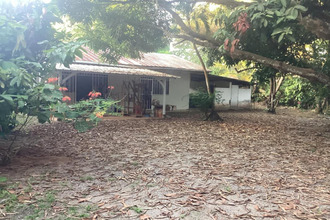  maison cayenne 97300