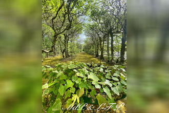  maison cercoux 17270