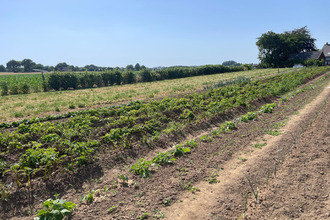  maison charchigne 53250