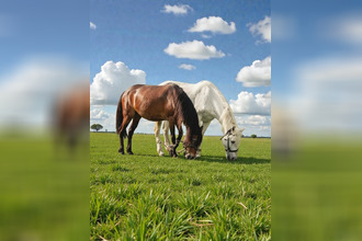  maison charmes 88130