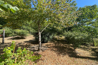  maison chateau-l-eveque 24460