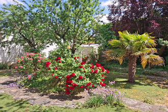  maison chatelaillon-plage 17340