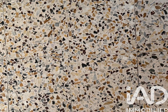  maison chatelaillon-plage 17340