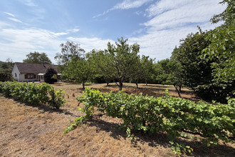  maison chatillon-sur-loire 45360