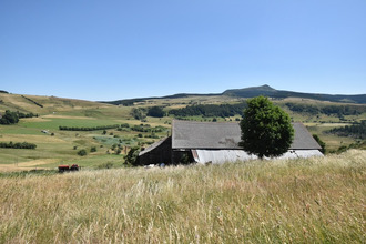  maison chaudeyrolles 43430