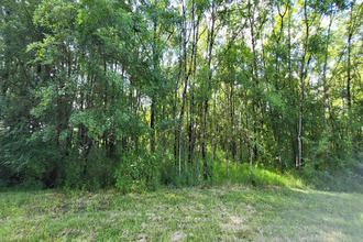  maison cherves-richemt 16370