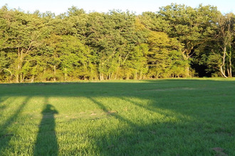  maison cheverny 41700