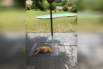  maison cintegabelle 31550