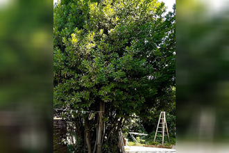  maison clermt-l-herault 34800