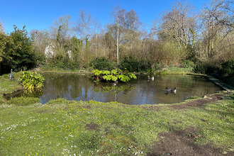  maison clohars-fouesnant 29950