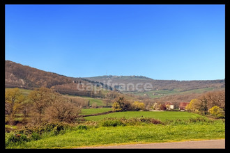  maison collonge-en-charollais 71460