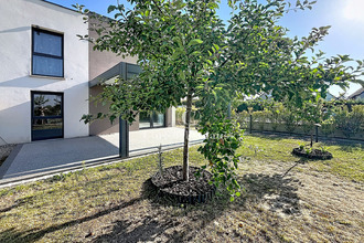  maison colmar 68000