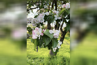  maison contrexeville 88140