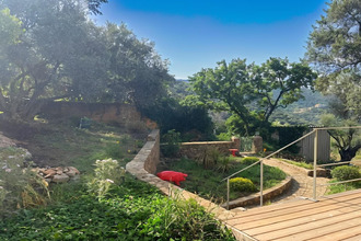  maison corbara 20256