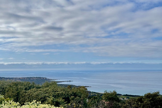  maison corbara 20256