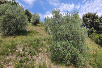  maison corbieres 04220