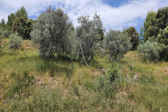  maison corbieres 04220
