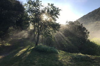  maison corsavy 66150