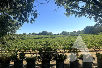  maison cotignac 83570