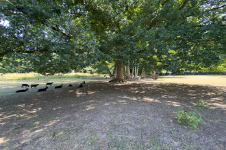  maison coulommiers 77120