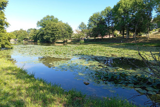  maison cours-les-barres 18320