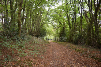  maison crux-la-ville 58330