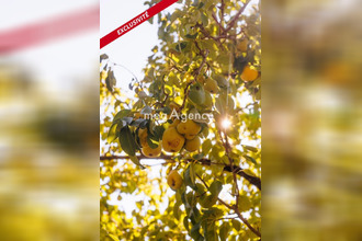  maison cubzac-les-ponts 33240