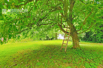  maison cysoing 59830