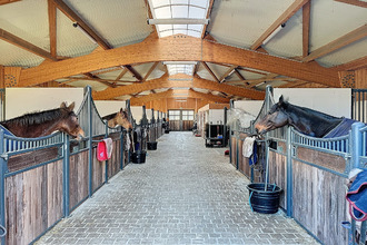  maison deauville 14800