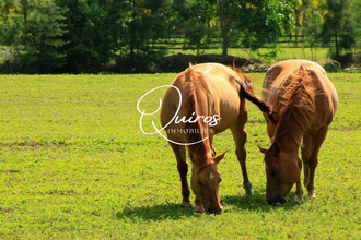  maison deauville 14800
