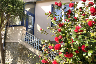 maison dineault 29150