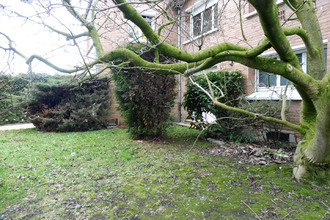  maison douchy-les-mines 59282