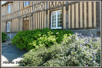  maison doudeville 76560