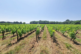  maison doue-la-fontaine 49700