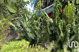  maison etang-sale 97427