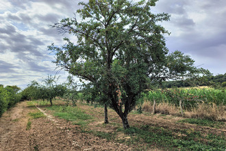  maison exoudun 79800